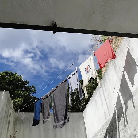 Apartment The Bleu Flat *